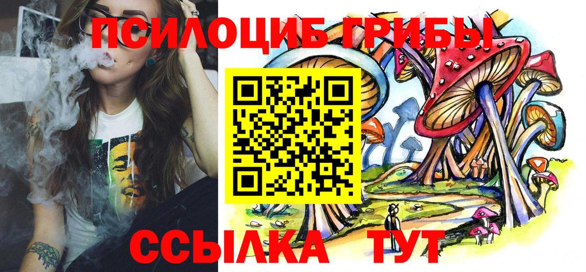 Златоуст  Псилоцибиновые грибы Cubensis  Вход с VPN  Псилоцибиновые грибы мухоморы 